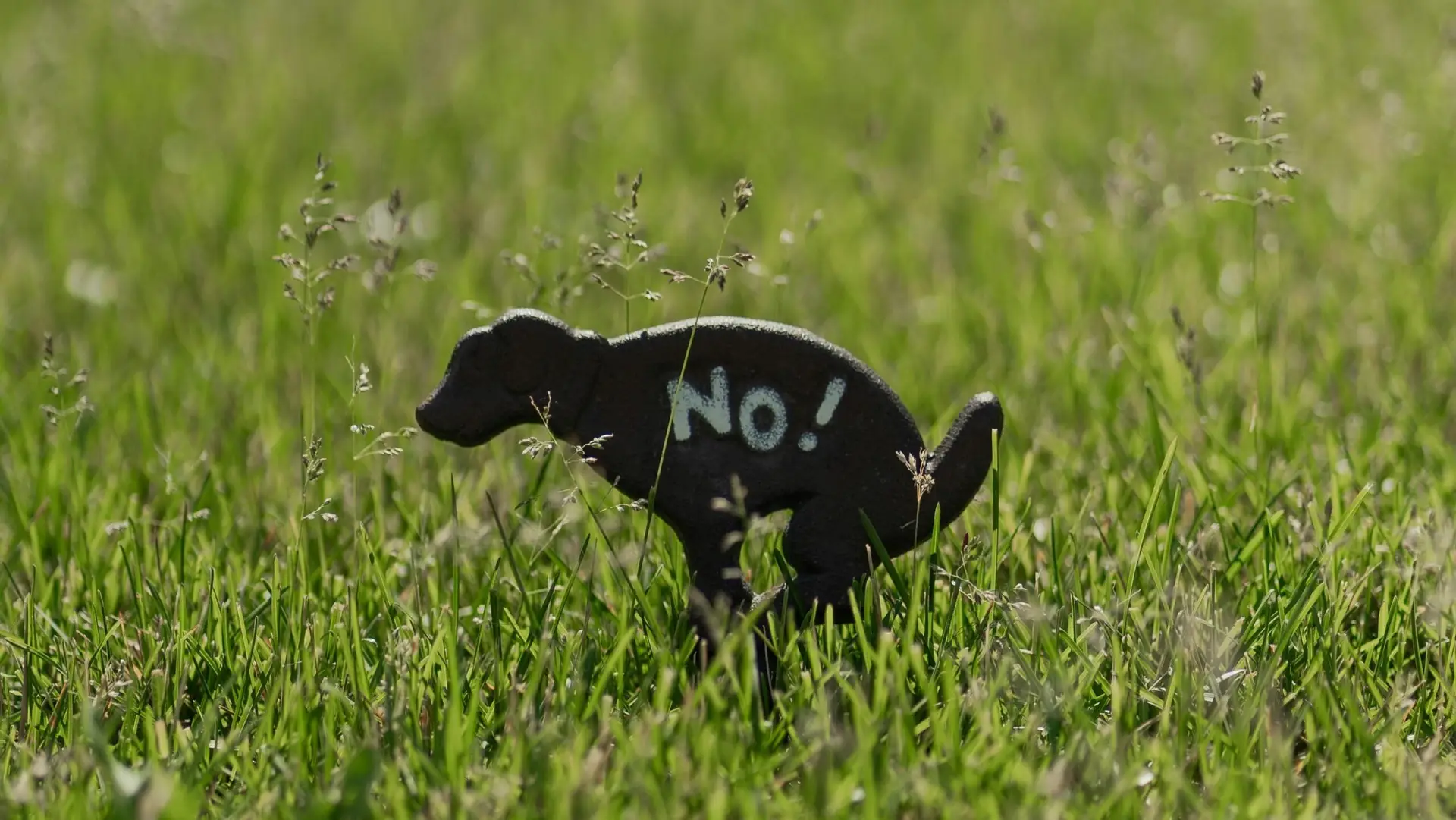 A sign featuring a dog pooping with a 'No' symbol over it, placed on a clean, green lawn to emphasize the importance of proper dog waste disposal.